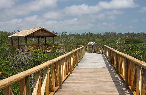 Nearby Nature Boardwalk